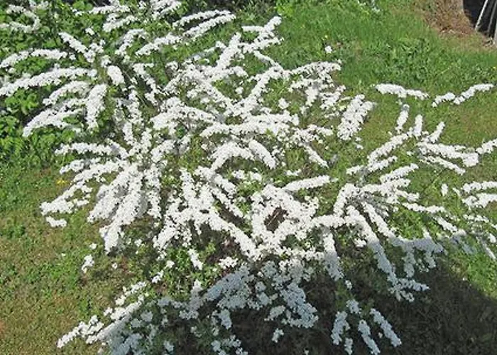 Holiday Home Jaervenranta By Interhome Vaskivesi